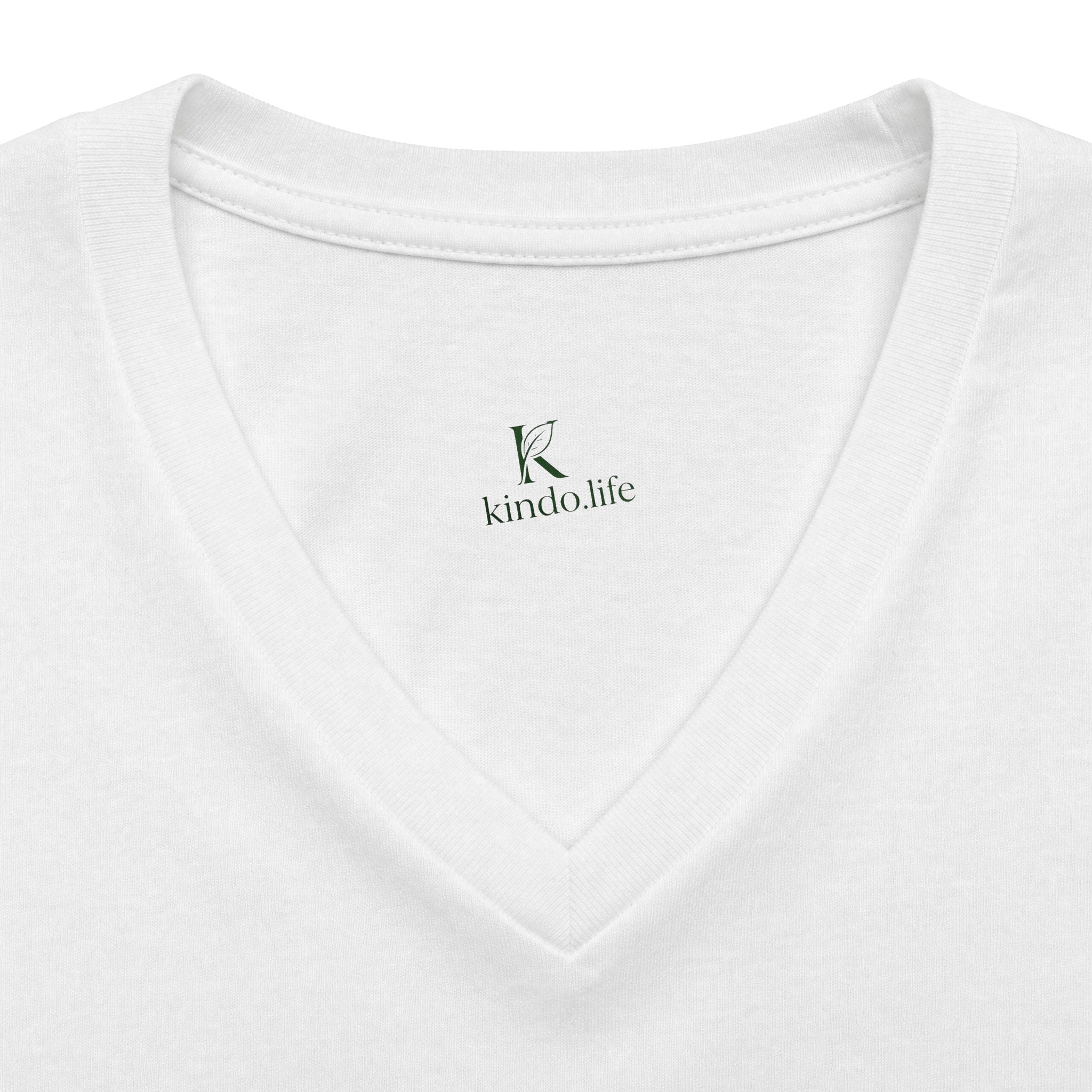Women's Relaxed Heather CVC V-Neck Tee