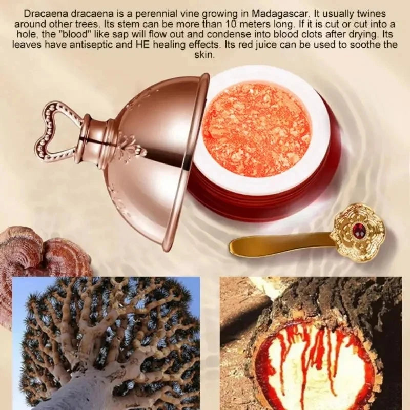 Dragon's Blood Face Cream — Retinol & Placenta Essence for Brightening, Lifting & Firming