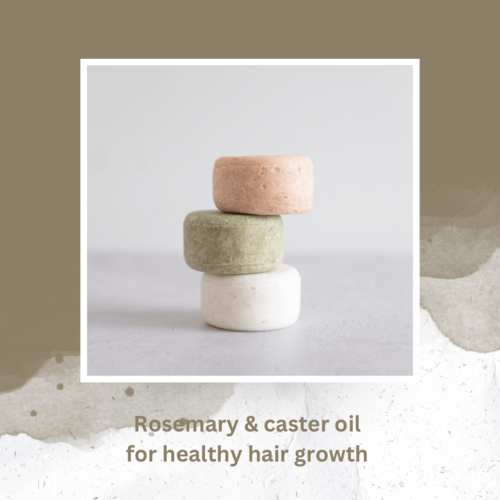 Nutrient Focus Solid Shampoo Bar — 6 Scents + Travel Tin