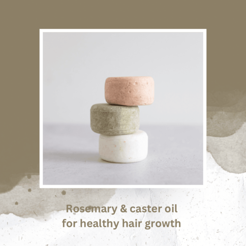 Nutrient Focus Solid Shampoo Bar — 6 Scents + Travel Tin